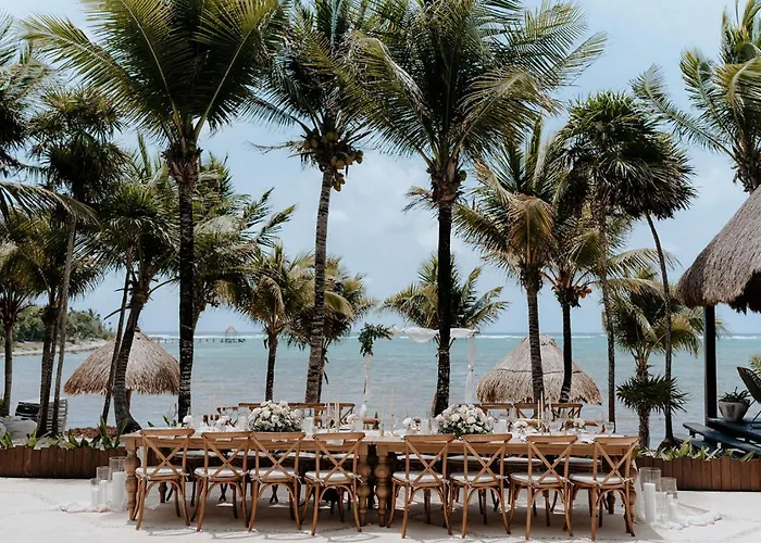 Tankah Bay 56 *